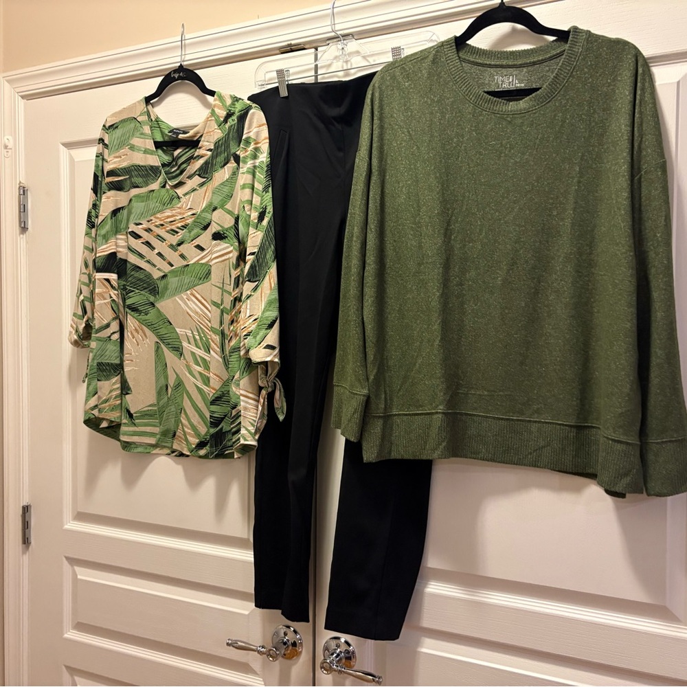 Chico’s 2.5 short black pants, Alfani  blouse, large and T&T sweater large